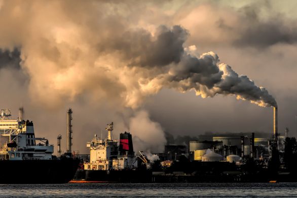 Stikstofuitspraak raakt logistieke sector: vertraging dreigt voor cruciale projecten