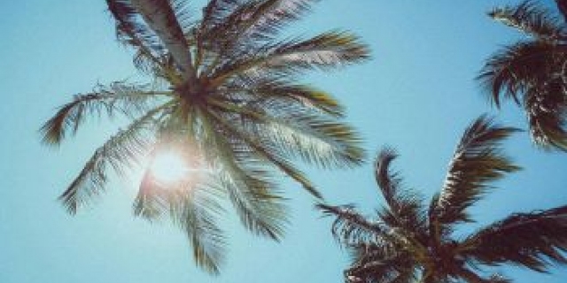 Opname en afboeken van vakantiedagen